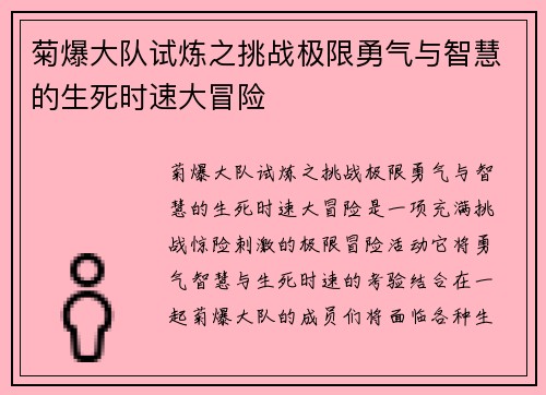 菊爆大队试炼之挑战极限勇气与智慧的生死时速大冒险