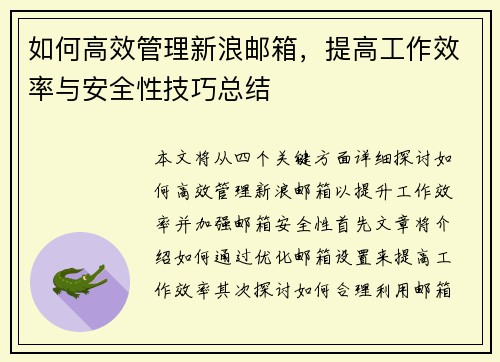 如何高效管理新浪邮箱，提高工作效率与安全性技巧总结