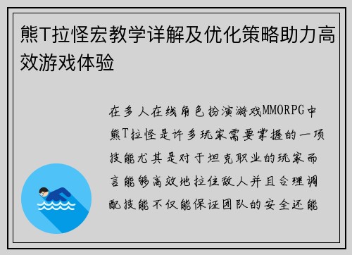 熊T拉怪宏教学详解及优化策略助力高效游戏体验